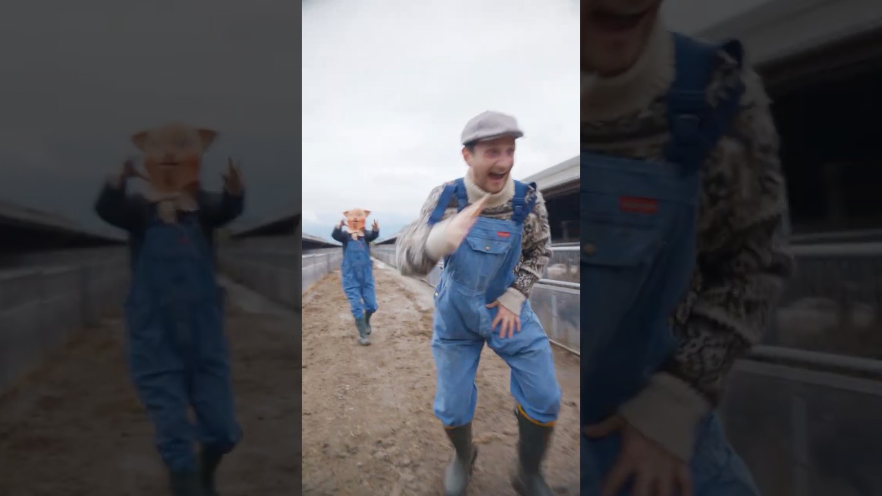Tillykke med fødselsdagen og grisene!