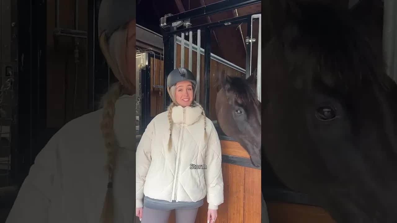 Ik ben een paardenmeisje: Mijn leven met paarden