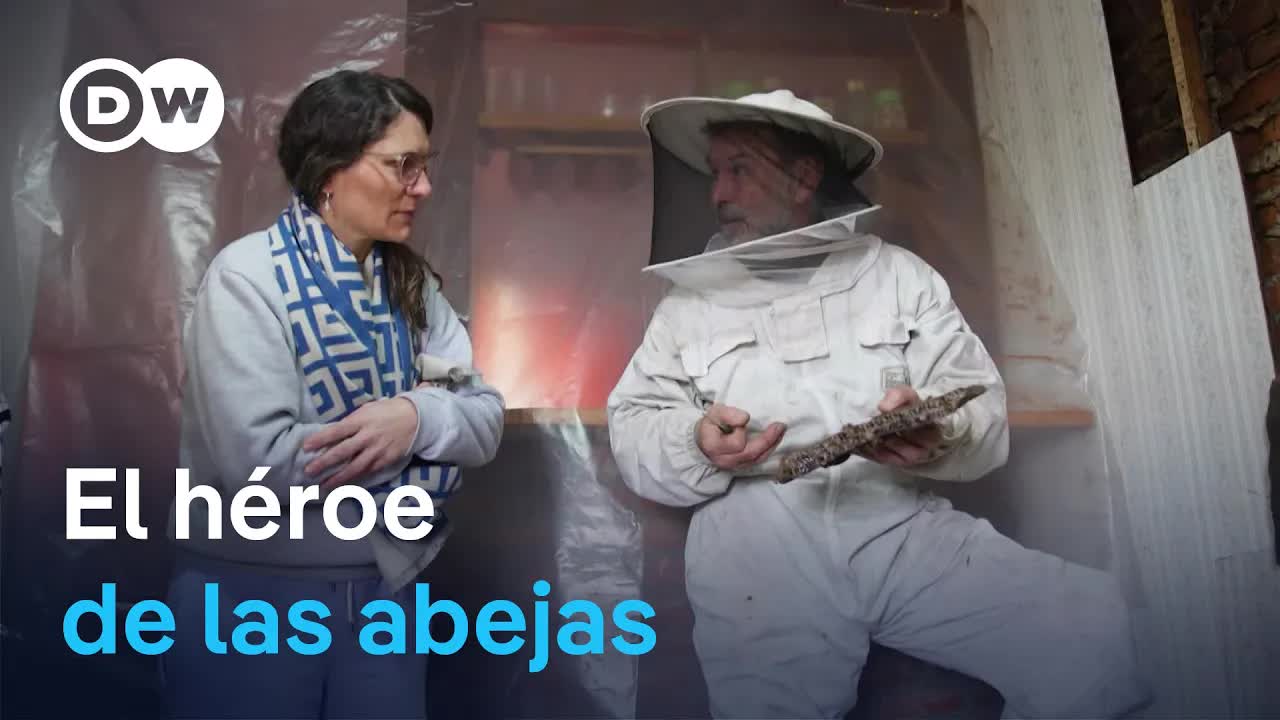 El rescatista de colmenas en Buenos Aires