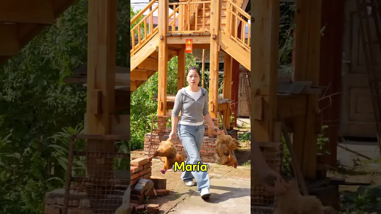 Un malentendido sobre gallinas y un perro