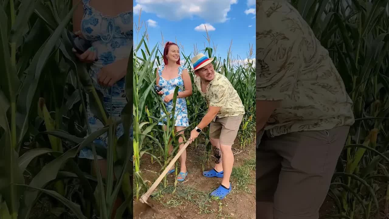 Părinții și copiii la muncile câmpului