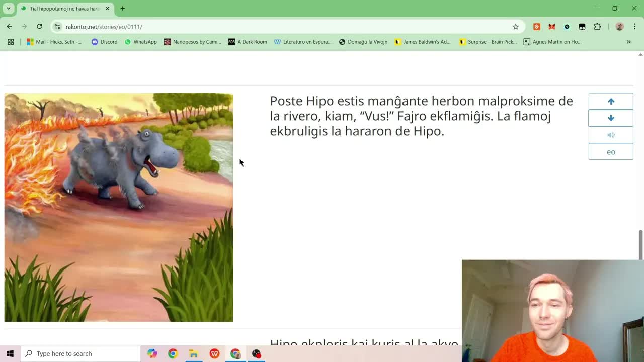 La Rakonto de Hipo kaj Kuniklo
