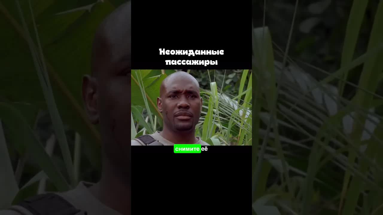 Экспедиция в джунгли: битва с гигантскими змеями