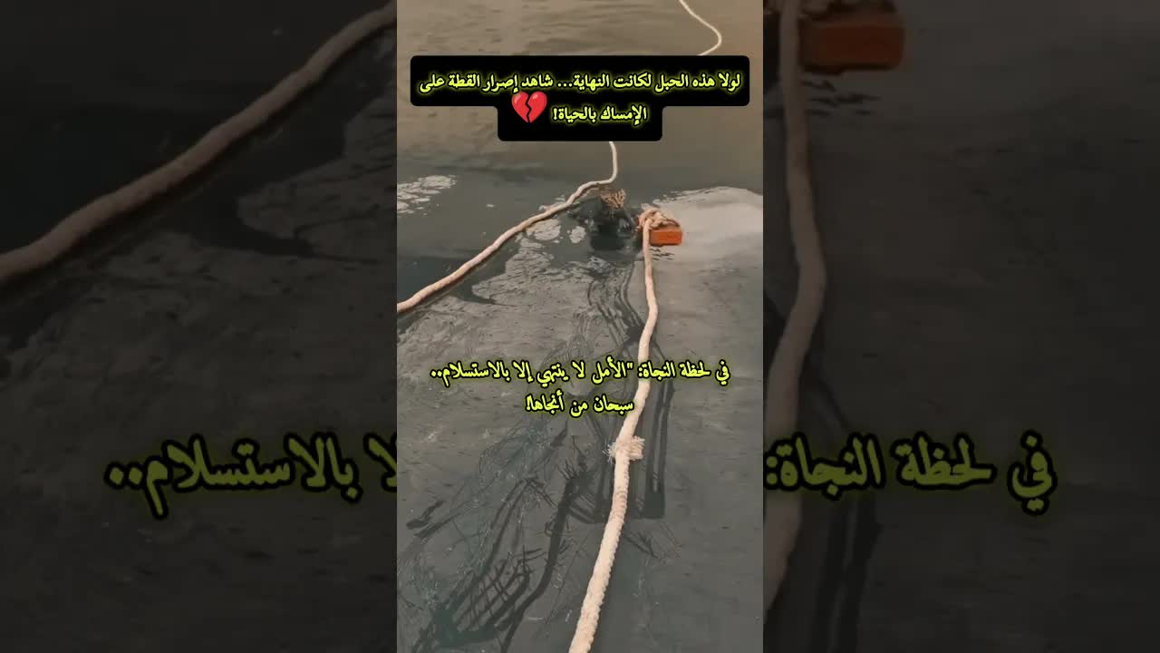 قصة سليمان والنملة من القرآن الكريم