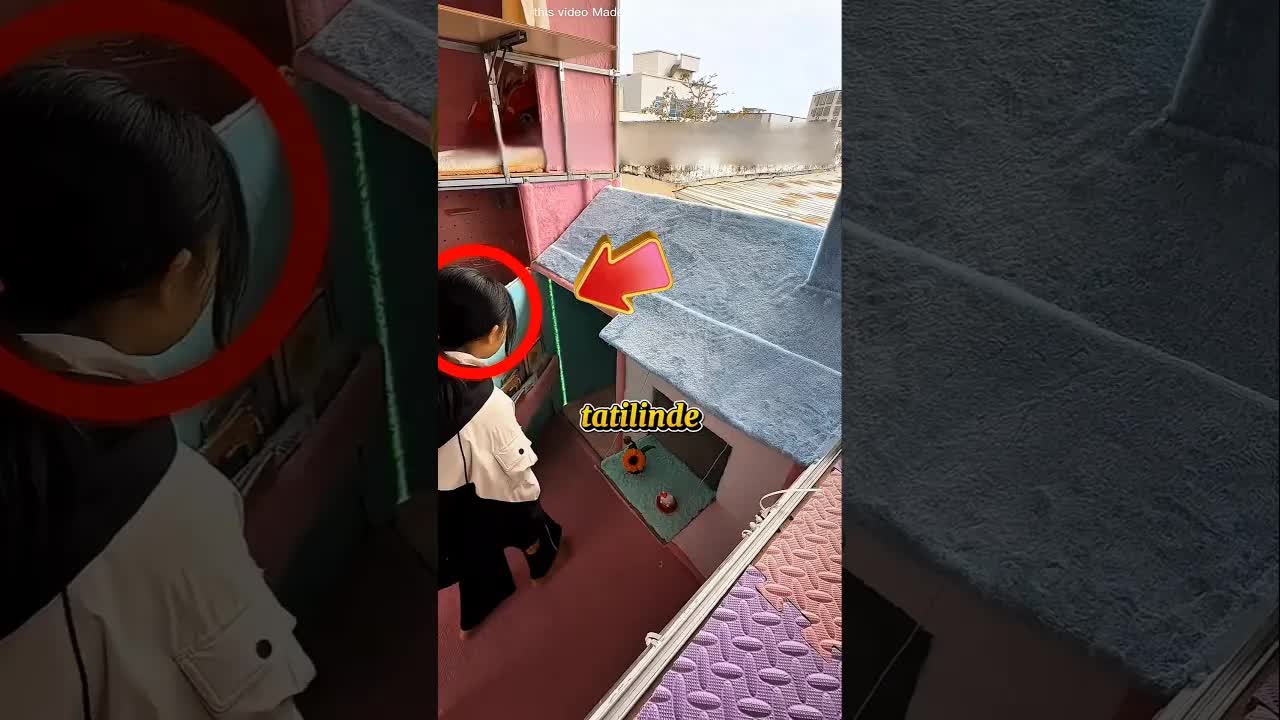 Kızın Yaz Tatilinde İnşa Ettiği Hayal Evi