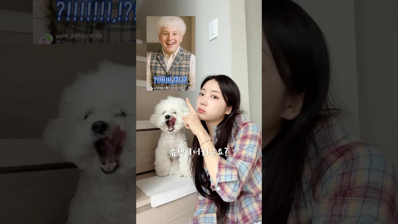 챗GPT가 강아지를 사람으로 바꾸는 중