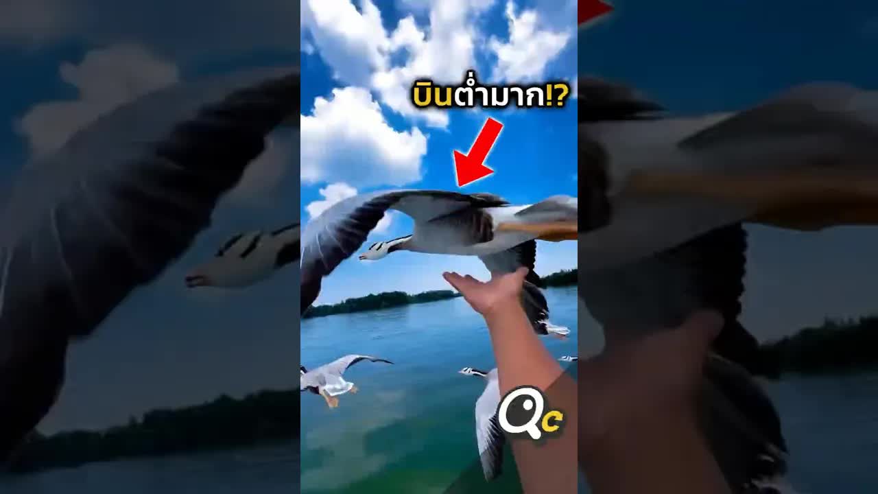 ทำไมเครื่องบินถึงบินต่ำได้แบบนี้