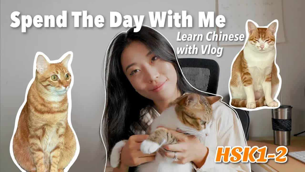 和我的猫一起度过普通的一天