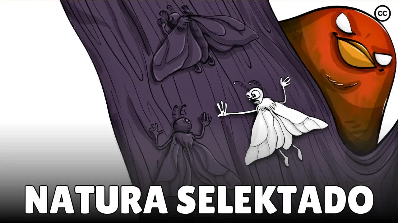 Natura Selektado: Supervivo de la Plej Taŭgaj