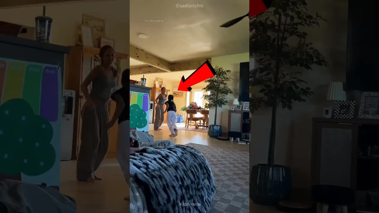 انتقام أخت انتهى بكارثة مع قطة لطيفة