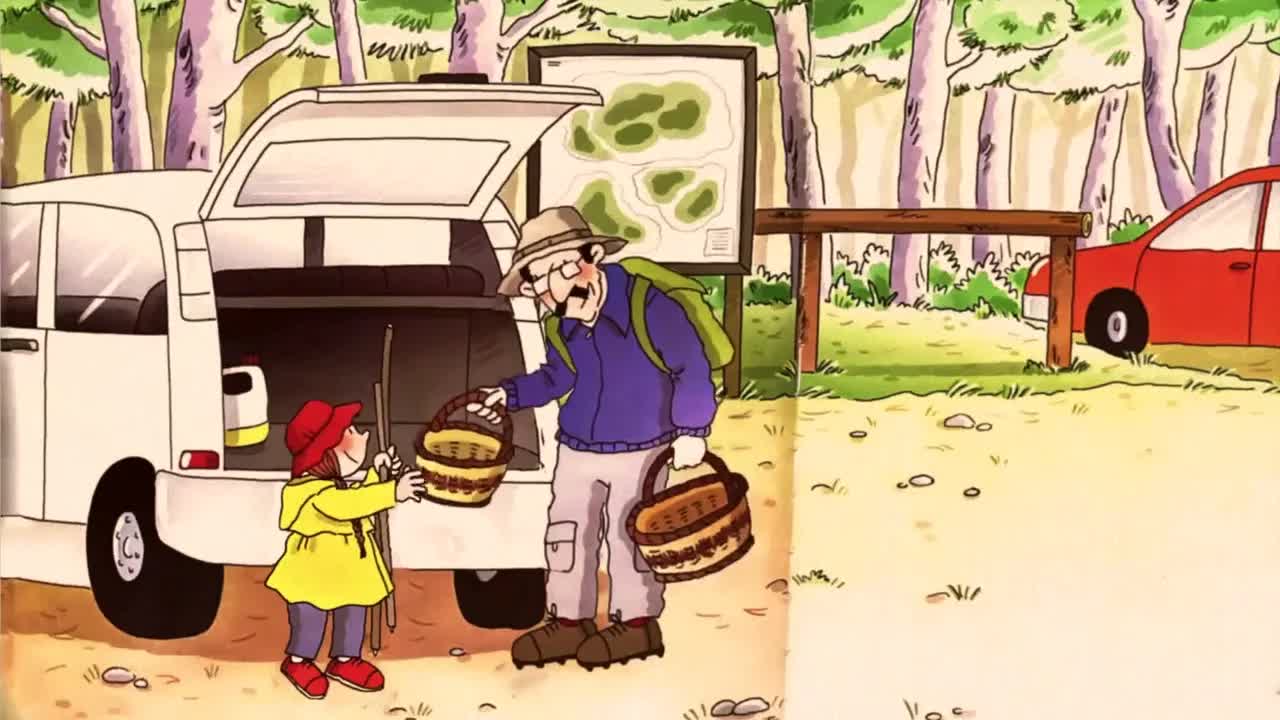 Anem a buscar bolets al bosc amb l'avi Oriol
