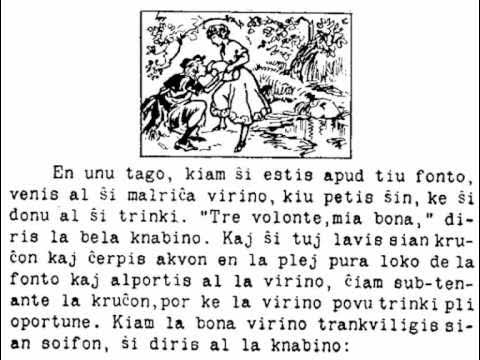 La Feino: La Rakonto de la Malriĉa Vidvino