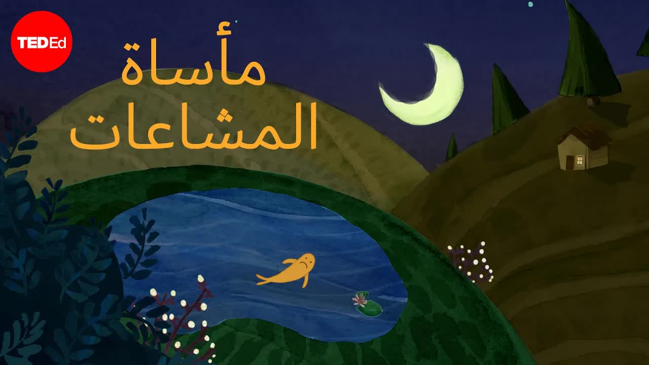 مأساة المشاعات: كيف ندير الموارد المشتركة