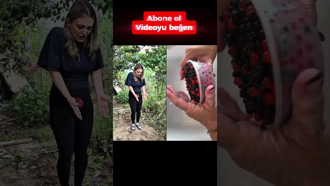 Karıncaları Kurtarmak İçin Şeker Veriyoruz