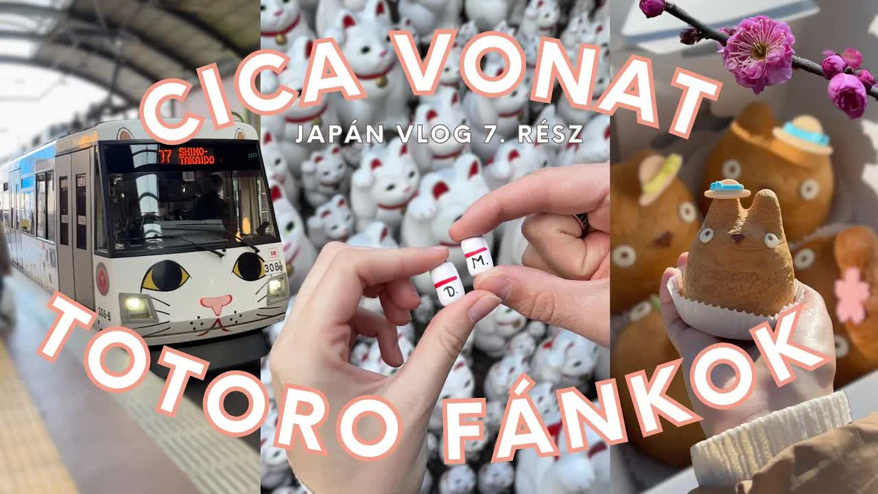 Macskás vonat és japán utazási élmények