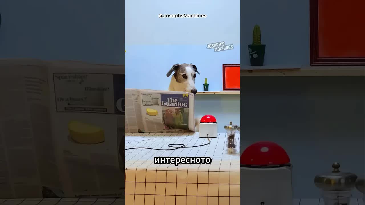 Този мъж е изобретател! 🔧💡