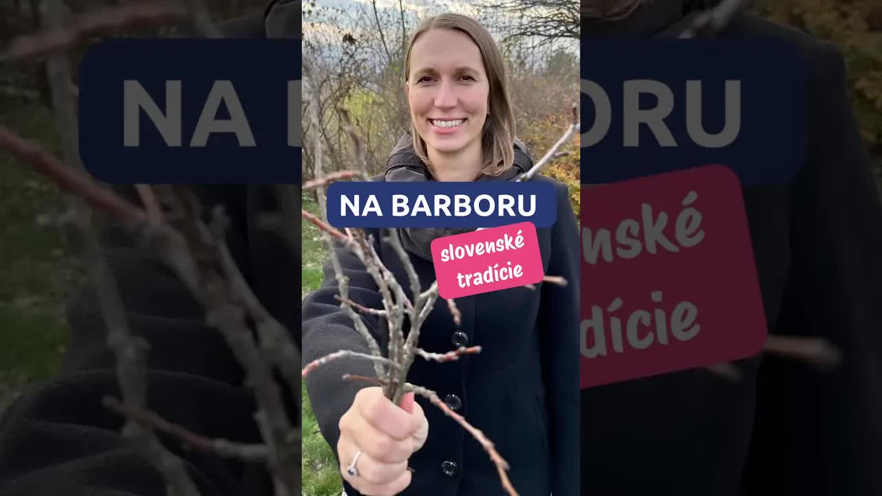 Slovenská decembrová tradícia: Barborky a čerešňové konáriky