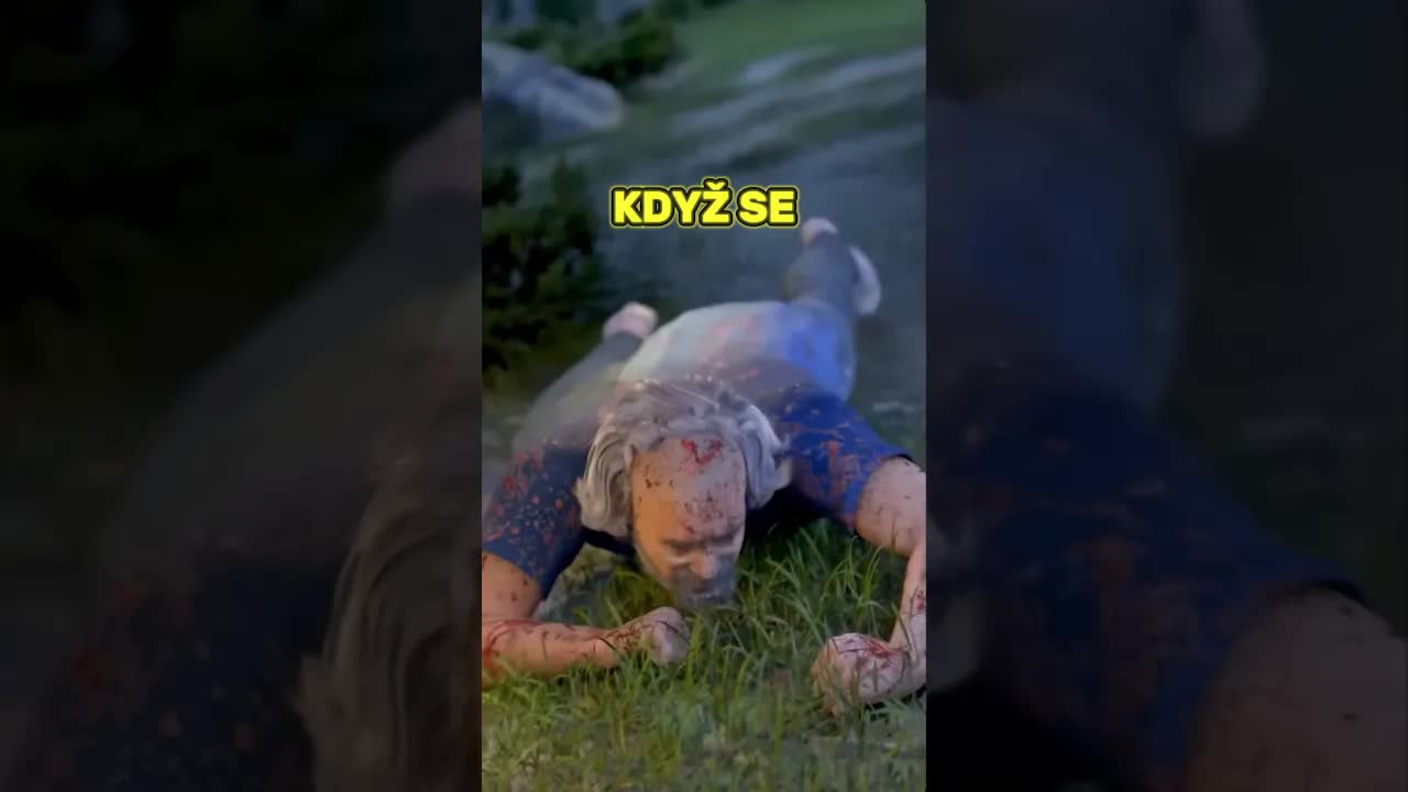 Pes zachránil majitele po nehodě v rokli