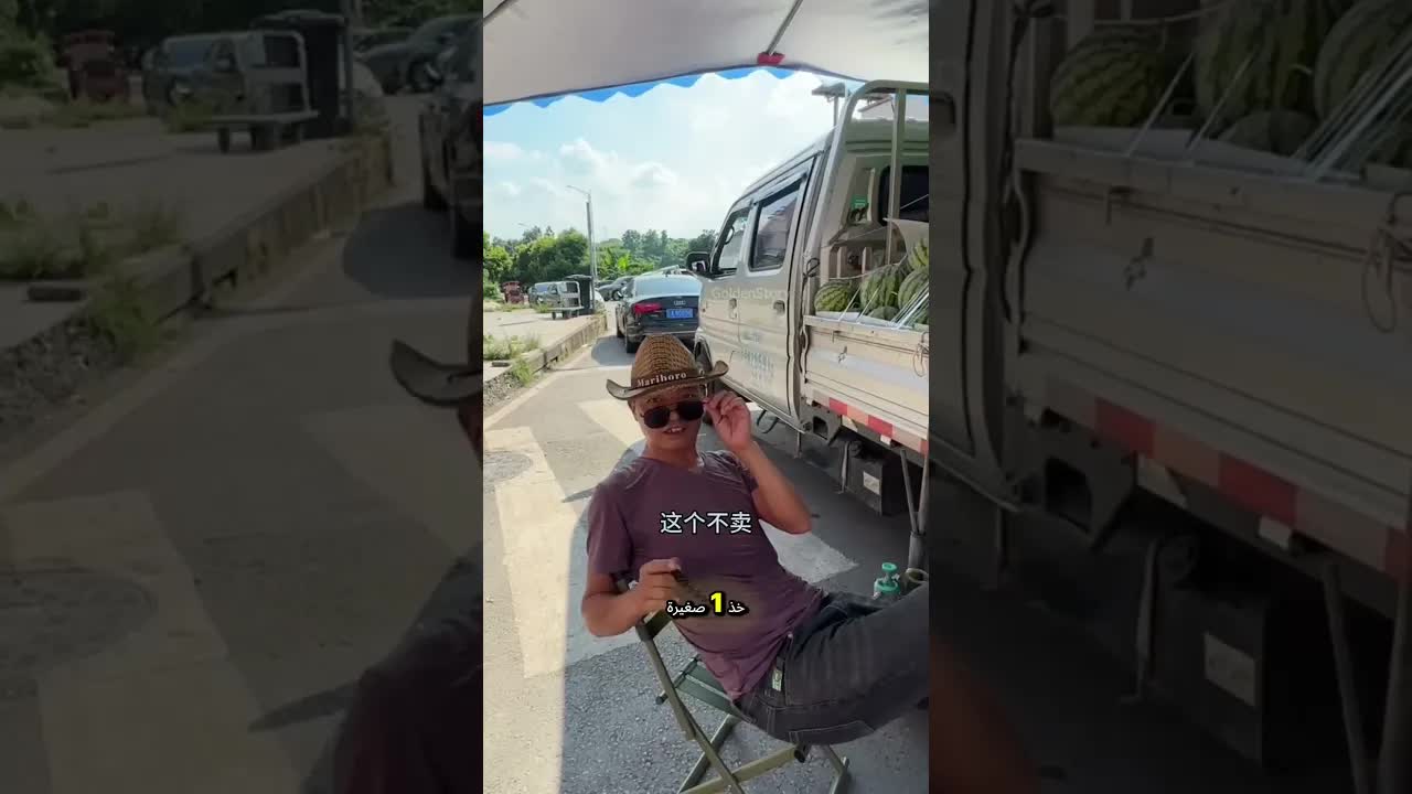 أحضر بطيخة ضخمة للقطط!