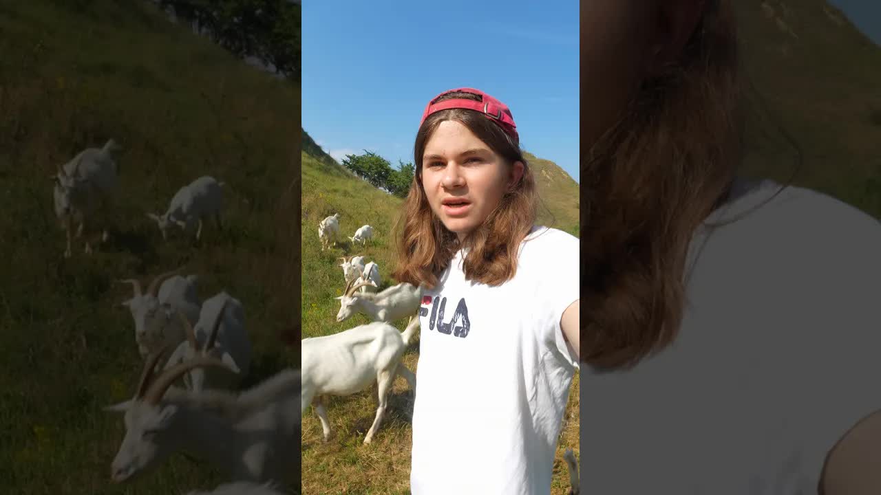 Câți bani câștig din afacerea cu capre la 16 ani