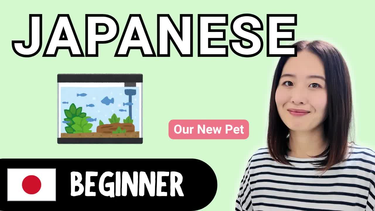 うちの新しいペット、メダカの飼い方