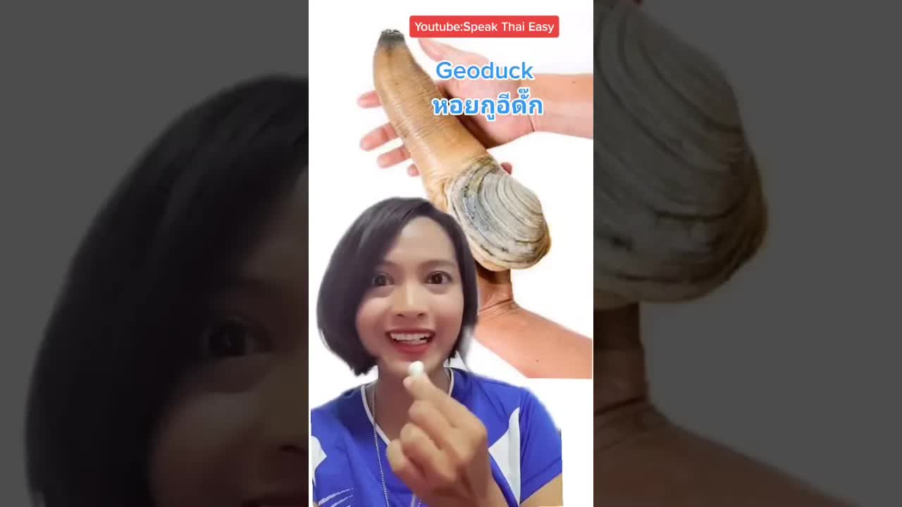 คำศัพท์ไทย หอยงวงช้าง แบบสั้นๆ
