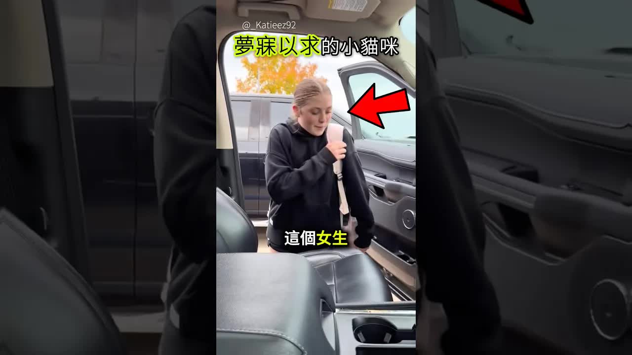 女生上車以為闖禍，驚喜發現夢寐以求的小貓