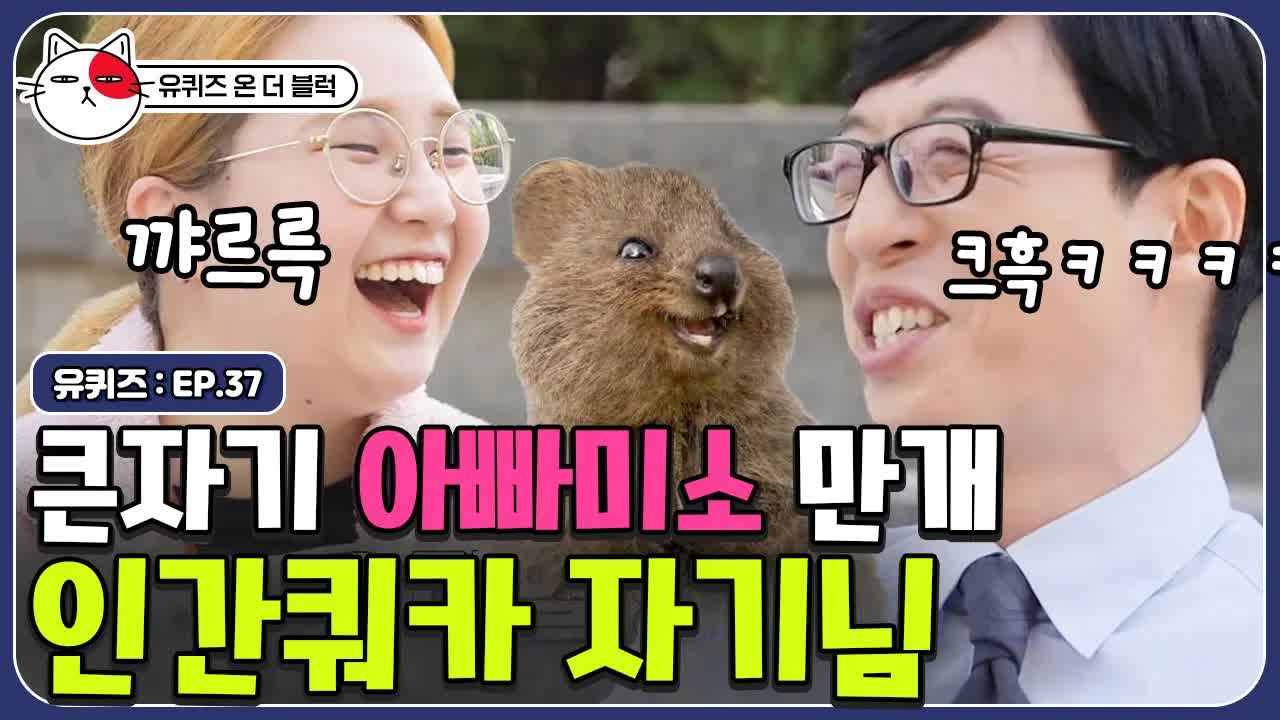직장인의 일상과 웃음 이야기
