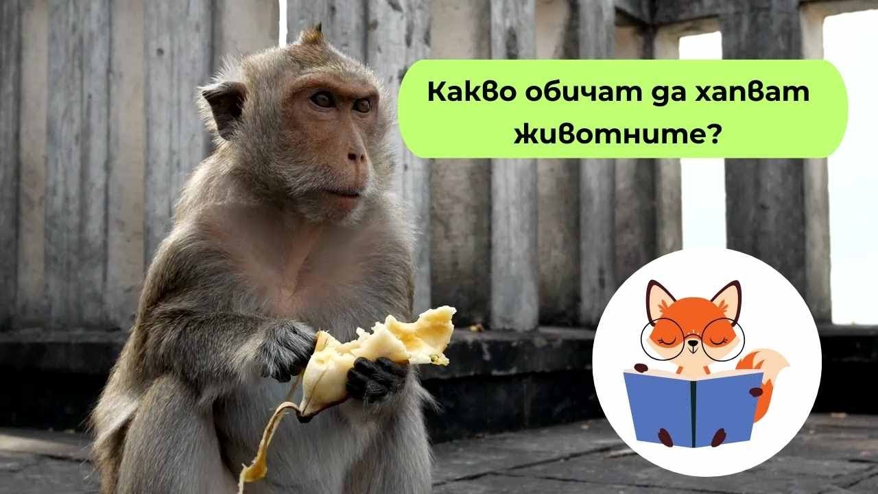 Какво обичат да ядат животните