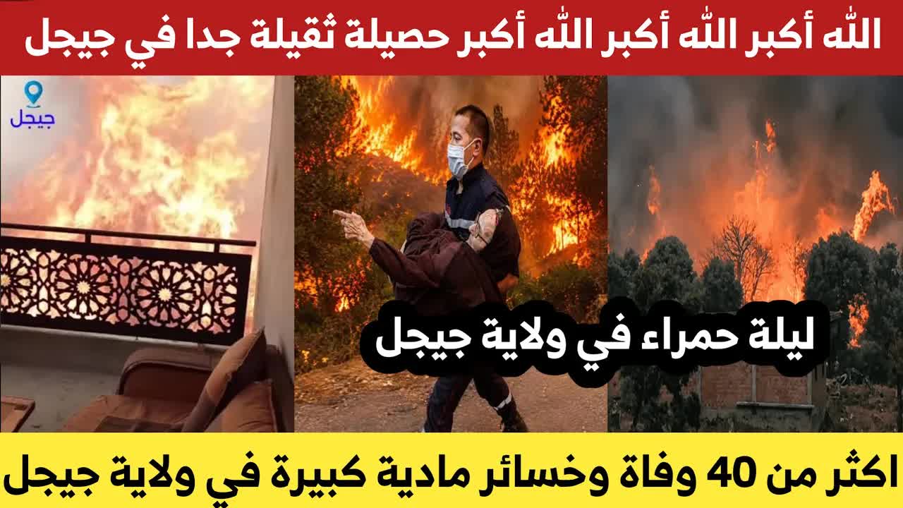 كارثة حرائق في جيجل تخلف أكثر من 40 قتيلاً