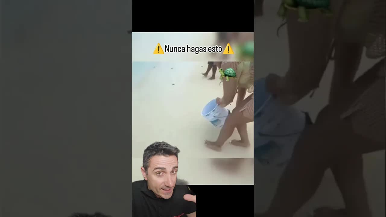 No toques a las crías, las estás matando