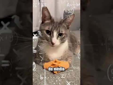 O que você faz quando leva uma picada?