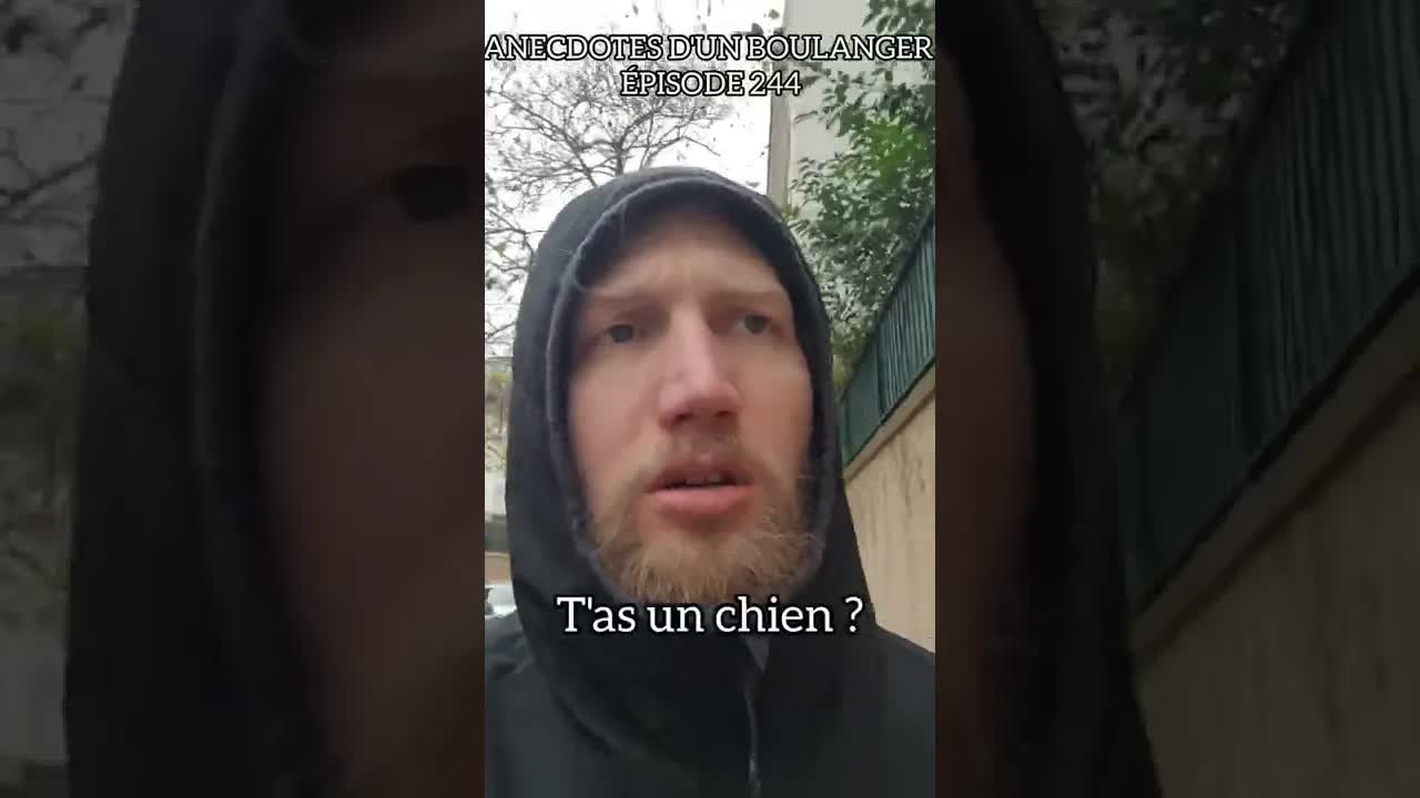 Anecdotes d'un boulanger : Kiki le chien