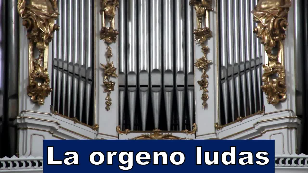 Orgena Muziko de J. S. Baĥ en Mia Urbo