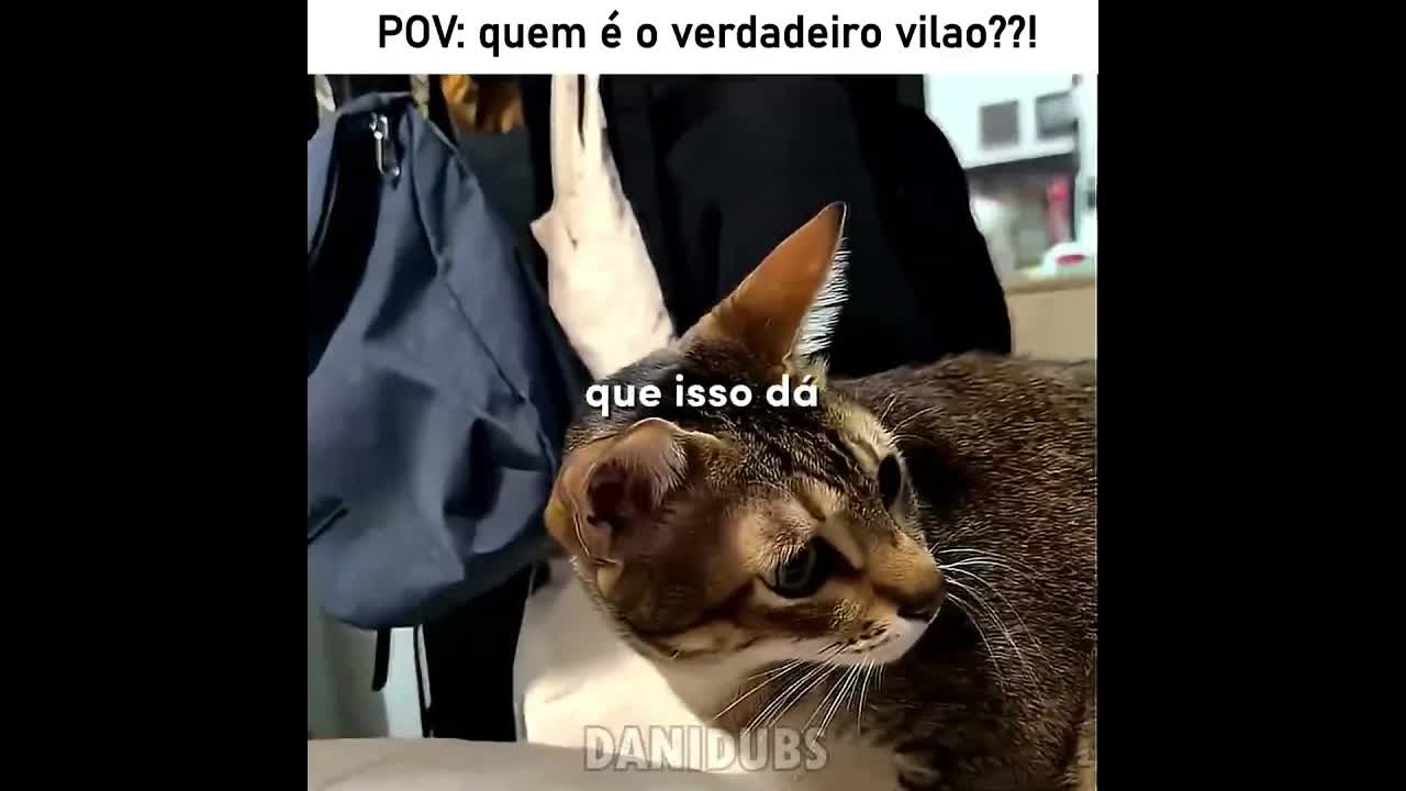 Quem é o vilão, Garfield ou Marcelo?