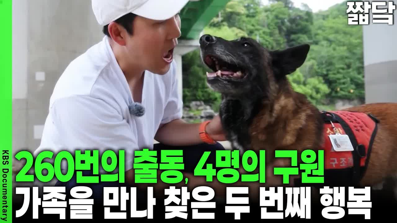 은퇴한 구조견의 제2의 삶