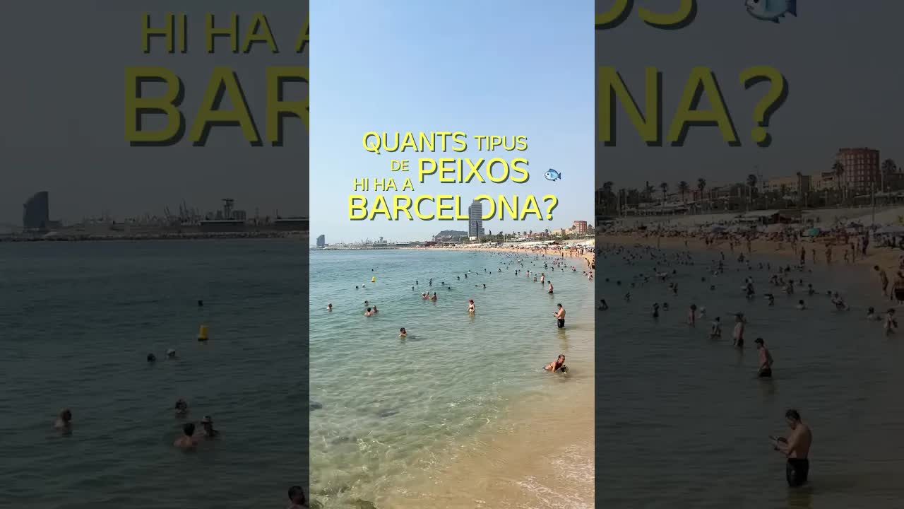 Respectem l'entorn de les platges de Barcelona