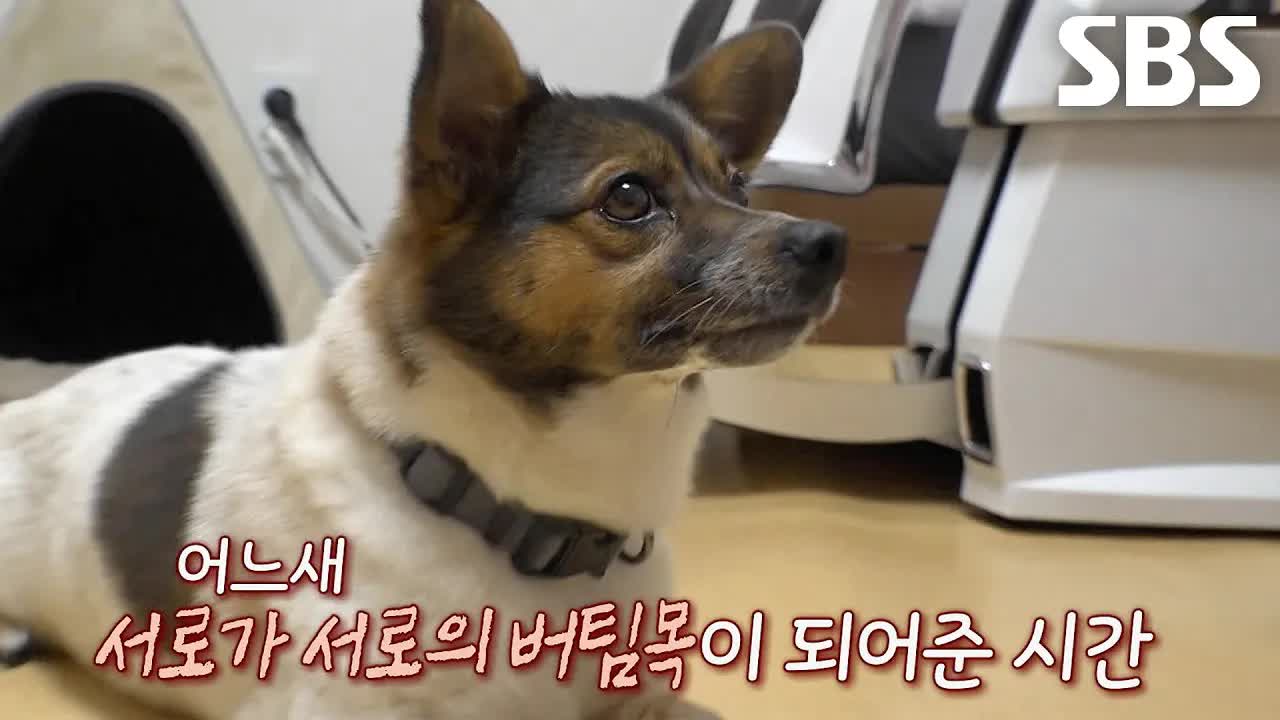 할머니와 달이의 운명 같은 동행