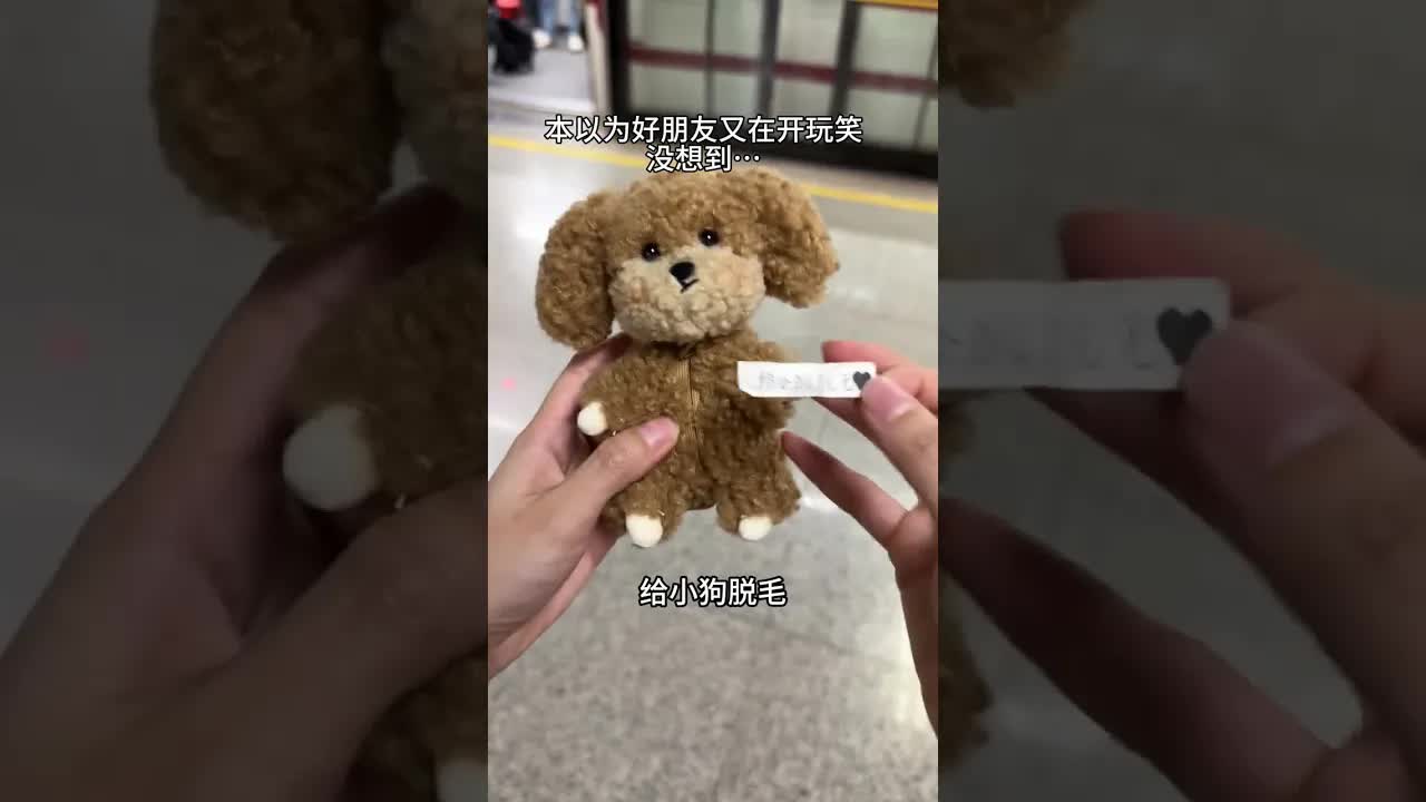 给小狗脱毛引发的误会