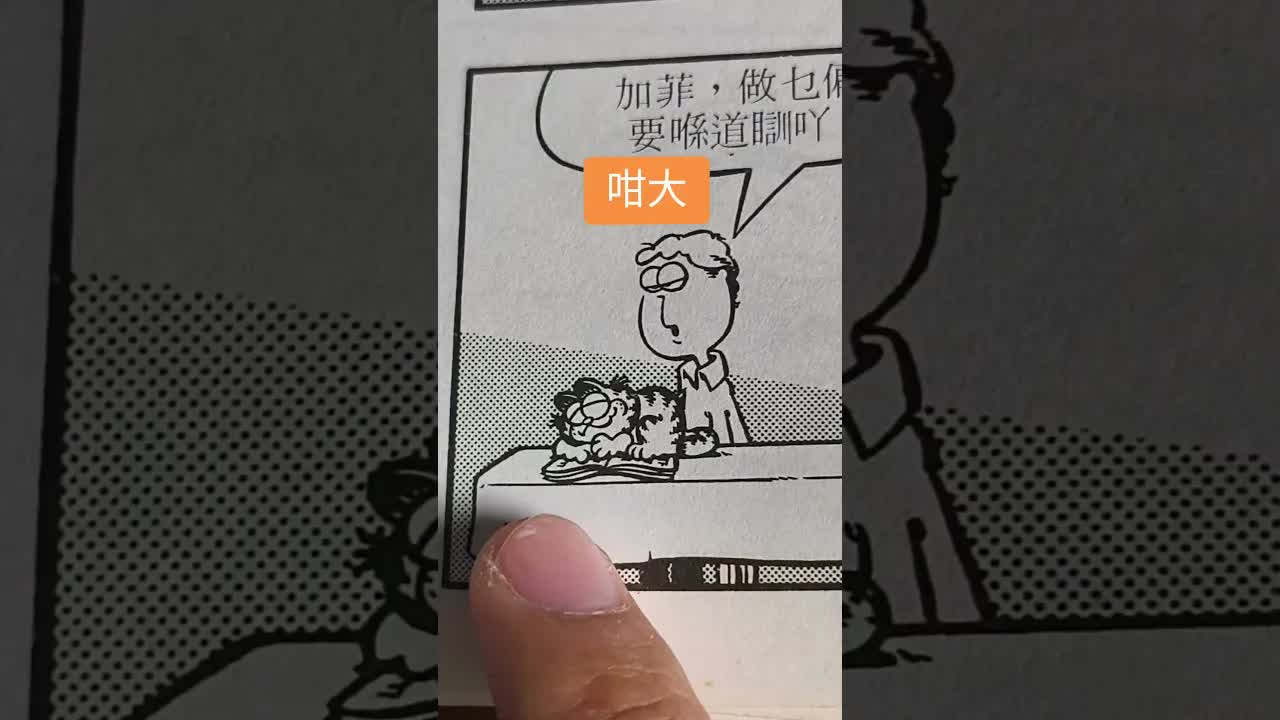 讀雜誌同加菲貓一齊瞓覺