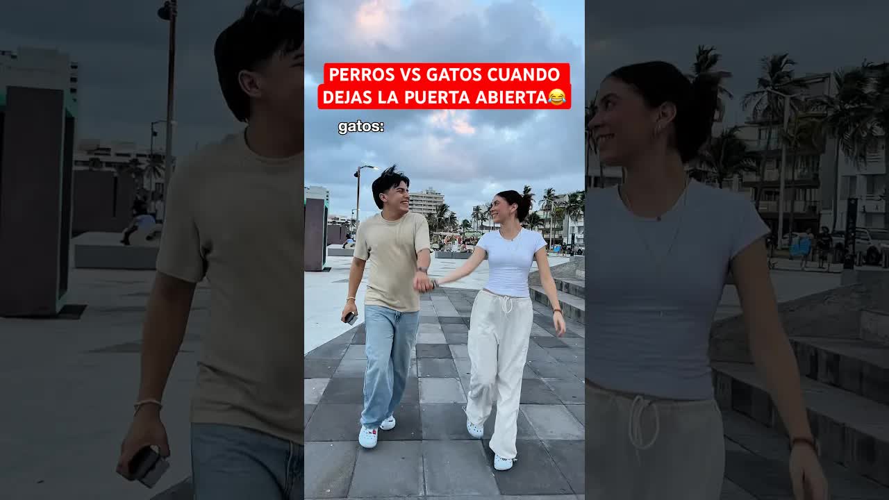 Perros vs gatos: puerta abierta