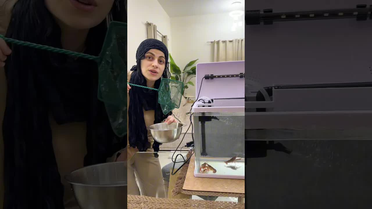 بناء بيت للجراد واللوبستر في المنزل