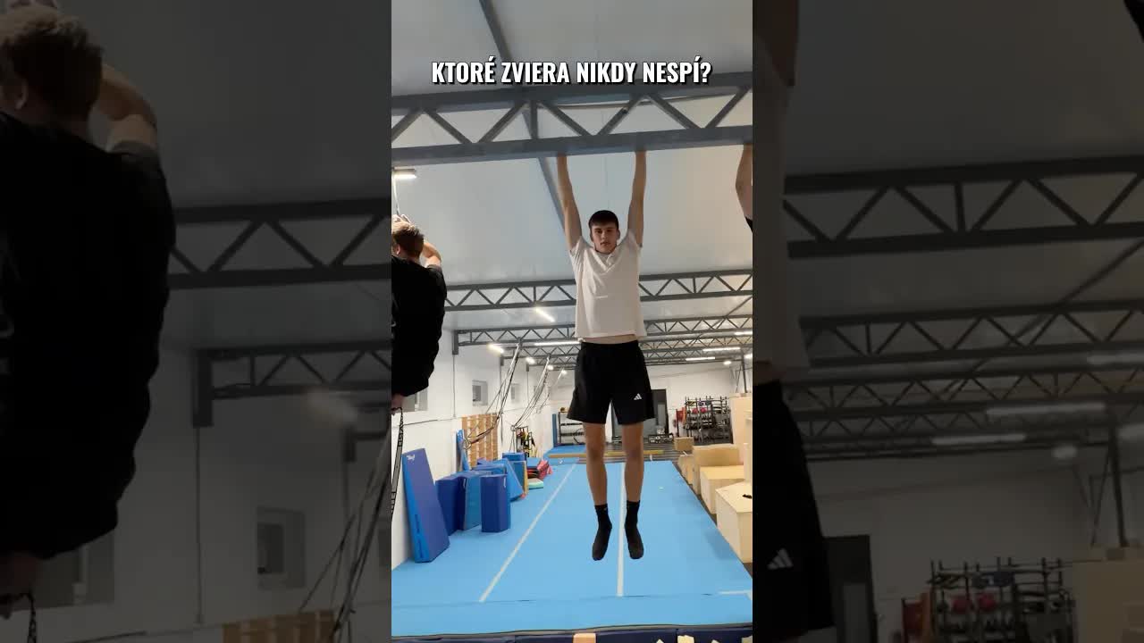 Ktoré zviera nikdy nespí? Trivia hra
