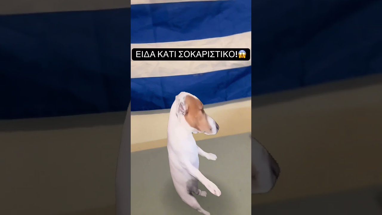 Τι σκύλος βρέθηκε στο κρεβάτι μου;