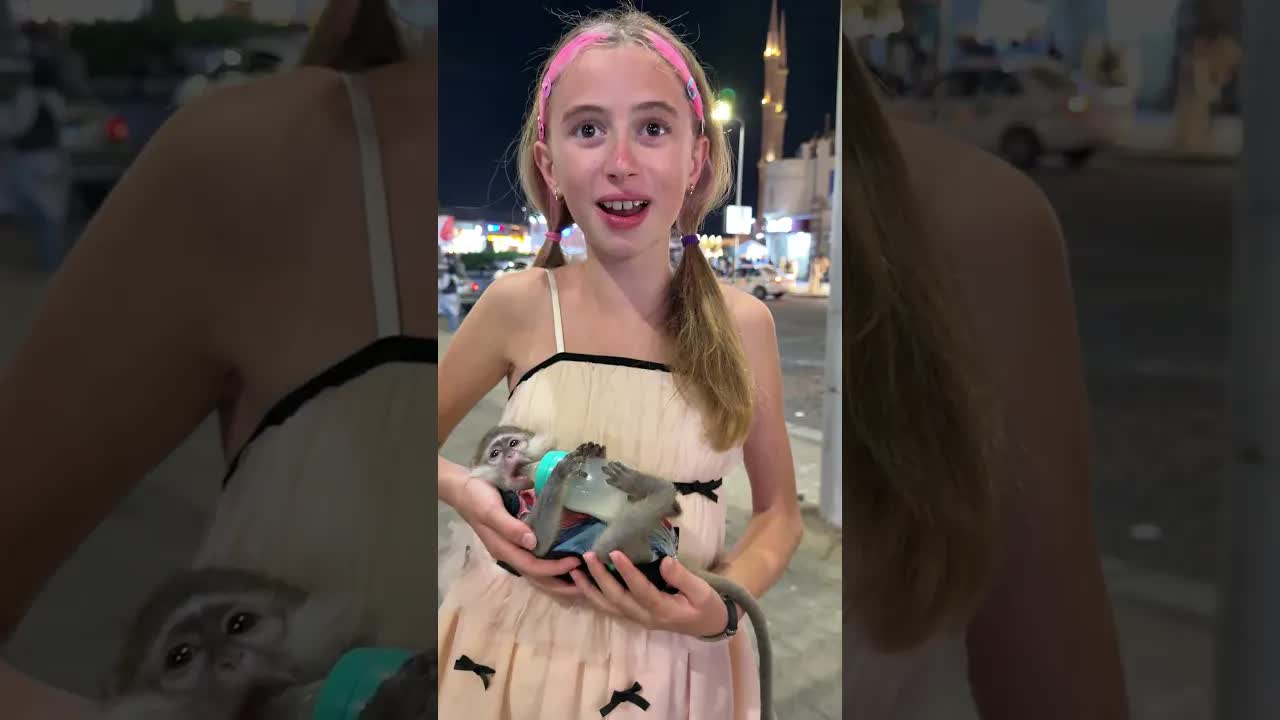 Giorgia vuole adottare una scimmietta