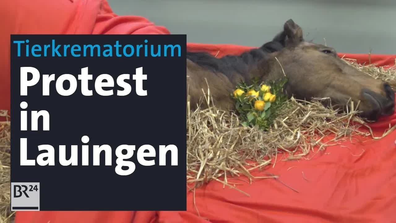 Tierkrematorium in Lauingen: Pro und Contra