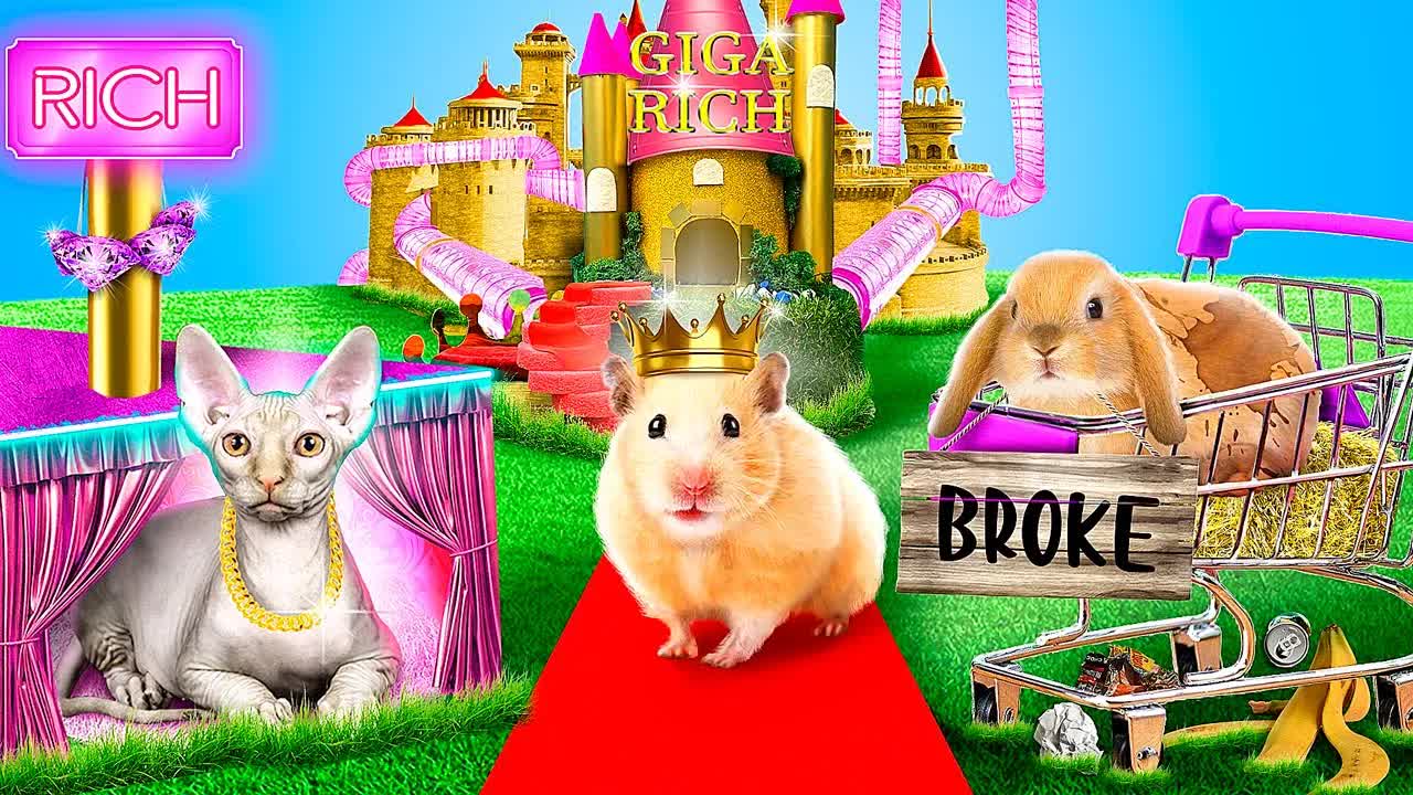 Titkos Szobát Építünk Házi Kedvenceknek