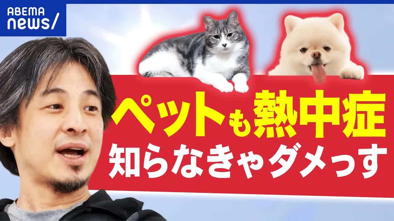 ペットの熱中症：犬猫の危険と対策