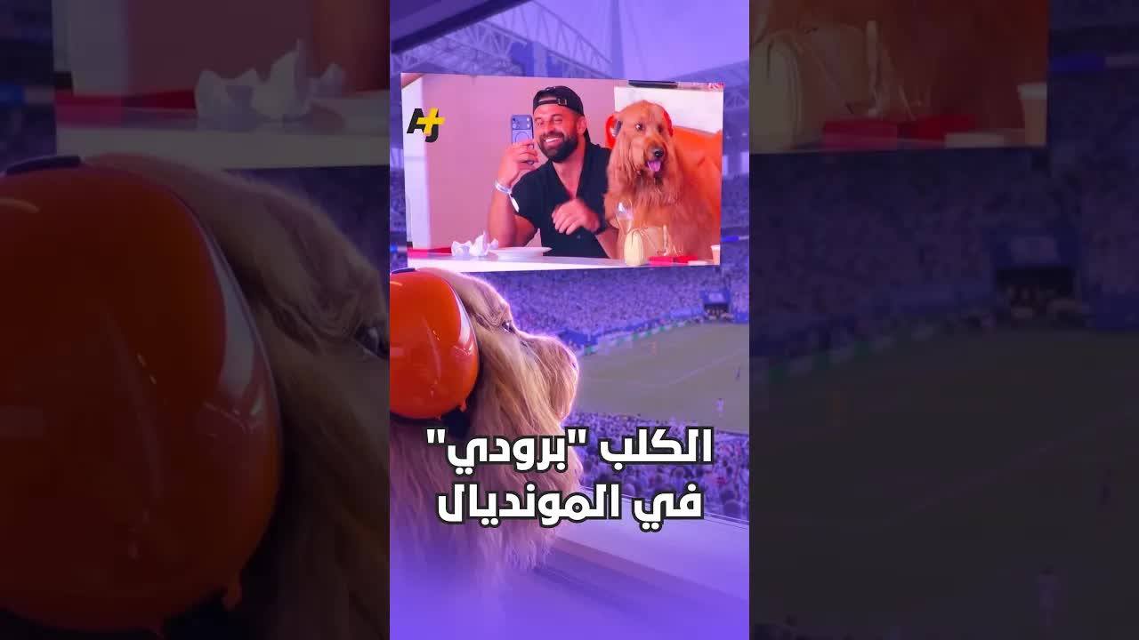 الكلب برودي أول حيوان يحضر كأس العالم 2026