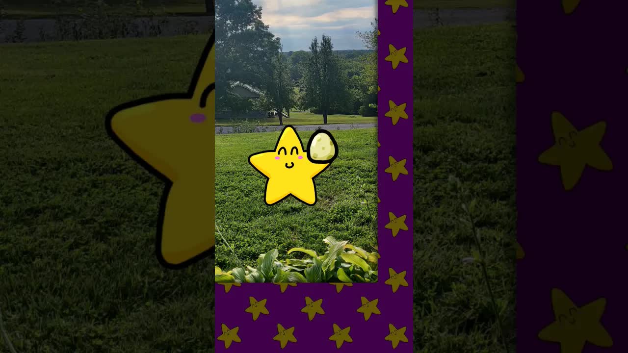 La Malaventuroj de Steleto: Protektu la Ovun